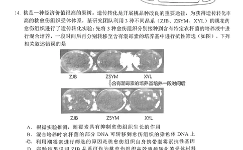 24届泉州高中毕业班第二次市质检生物试卷_2024届福建省泉州市高中高三上学期毕业班质量监测（二）_2024届福建省泉州市高中高三上学期毕业班质量监测（二）生物