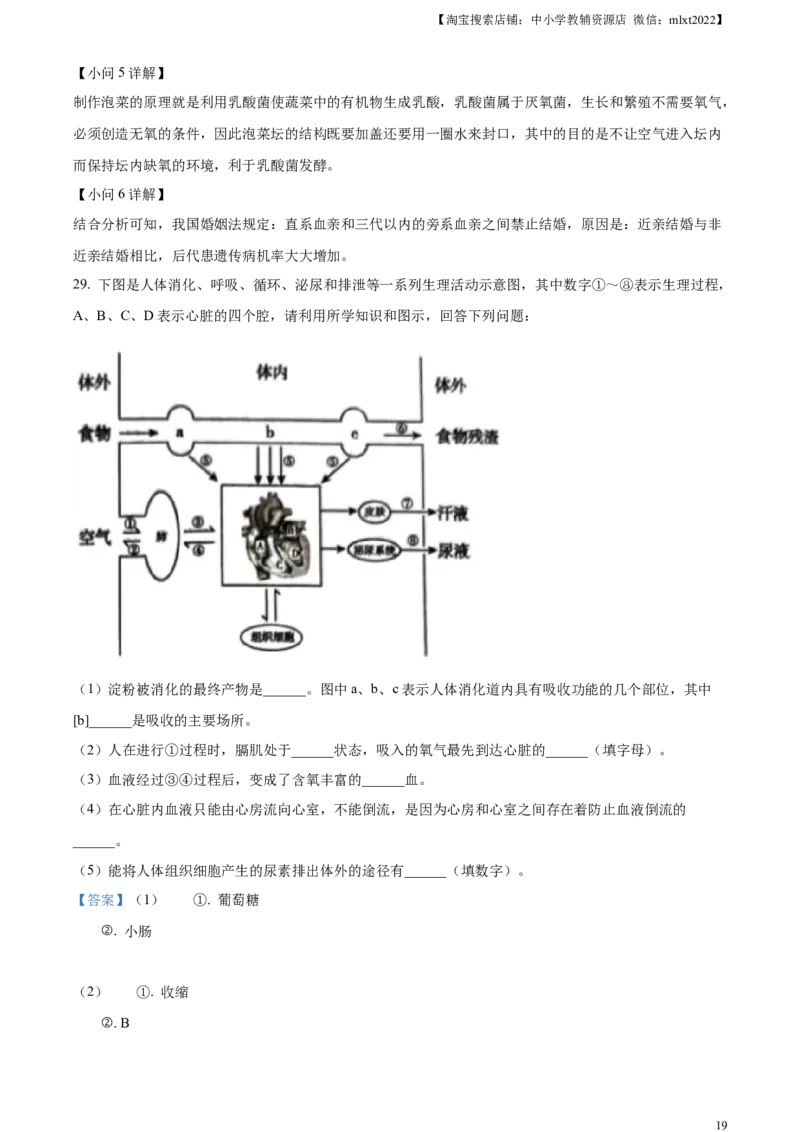 精品解析：2023年湖南省衡阳中考生物真题（解析版）_中考真题_8.生物中考真题2015-2024年_2023年全国中考生物7.20_精品解析：2023年湖南省衡阳中考生物真题