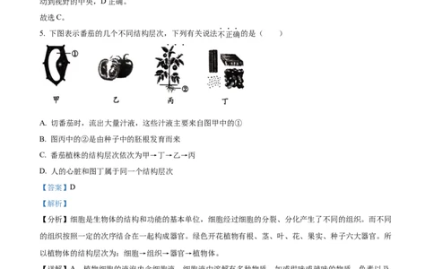 精品解析：2023年湖南省衡阳中考生物真题（解析版）_中考真题_8.生物中考真题2015-2024年_2023年全国中考生物7.20_精品解析：2023年湖南省衡阳中考生物真题