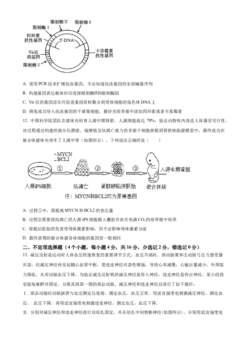 湖南省衡阳市第八中学2024届高三上学期12月月考生物_2024届湖南省衡阳市第八中学高三上学期12月月考