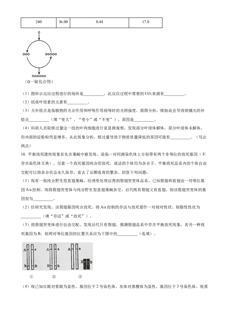 湖南省衡阳市第八中学2024届高三上学期12月月考生物_2024届湖南省衡阳市第八中学高三上学期12月月考