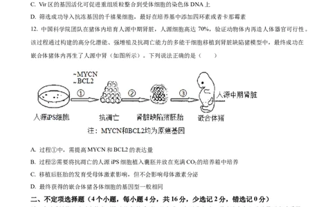 湖南省衡阳市第八中学2024届高三上学期12月月考生物_2024届湖南省衡阳市第八中学高三上学期12月月考