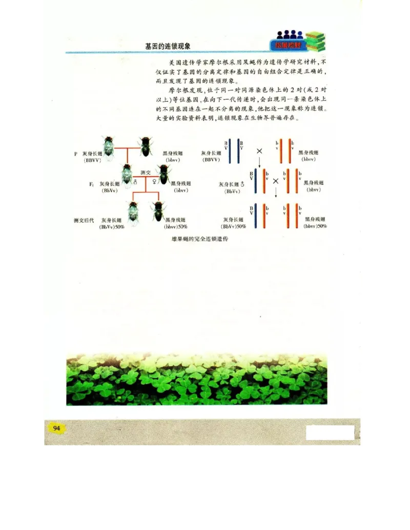 苏教版高中生物必修2《遗传与进化》电子课本_4-教培资料-26年最新资料-同步更新_初中高中教资_03科三专项（进去保存报考的学科即可）_112025高中科目（全）电子教材