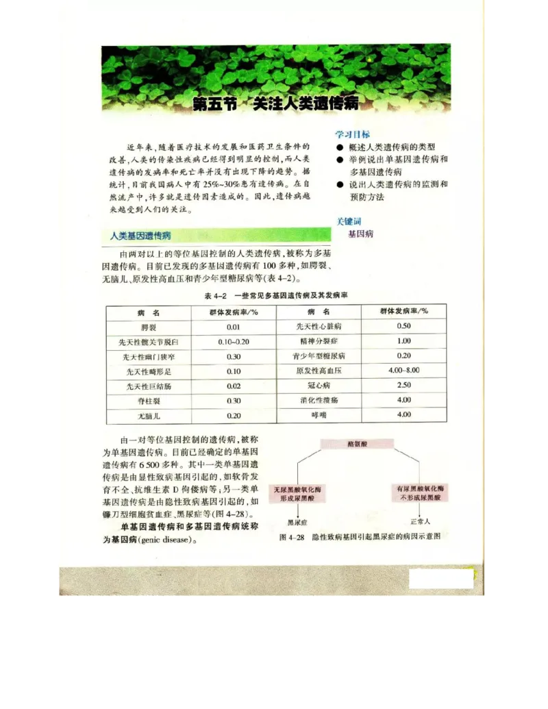 苏教版高中生物必修2《遗传与进化》电子课本_4-教培资料-26年最新资料-同步更新_初中高中教资_03科三专项（进去保存报考的学科即可）_112025高中科目（全）电子教材