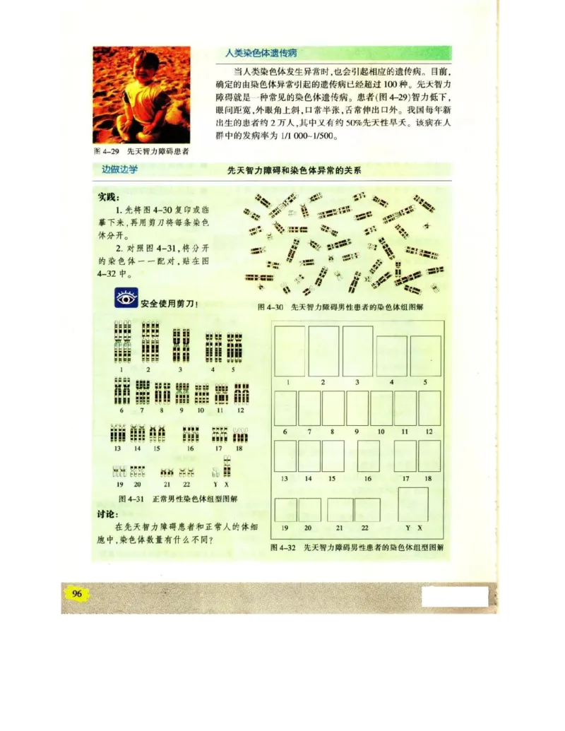 苏教版高中生物必修2《遗传与进化》电子课本_4-教培资料-26年最新资料-同步更新_初中高中教资_03科三专项（进去保存报考的学科即可）_112025高中科目（全）电子教材