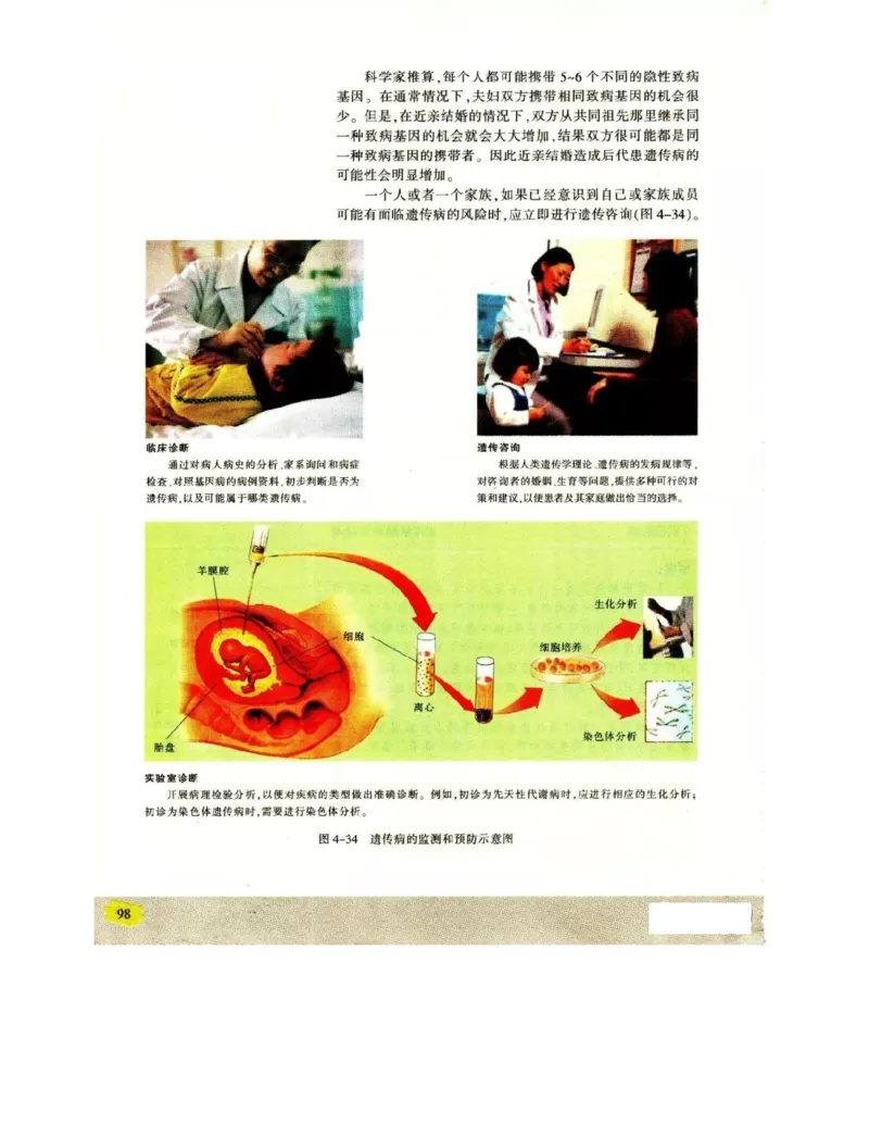苏教版高中生物必修2《遗传与进化》电子课本_4-教培资料-26年最新资料-同步更新_初中高中教资_03科三专项（进去保存报考的学科即可）_112025高中科目（全）电子教材