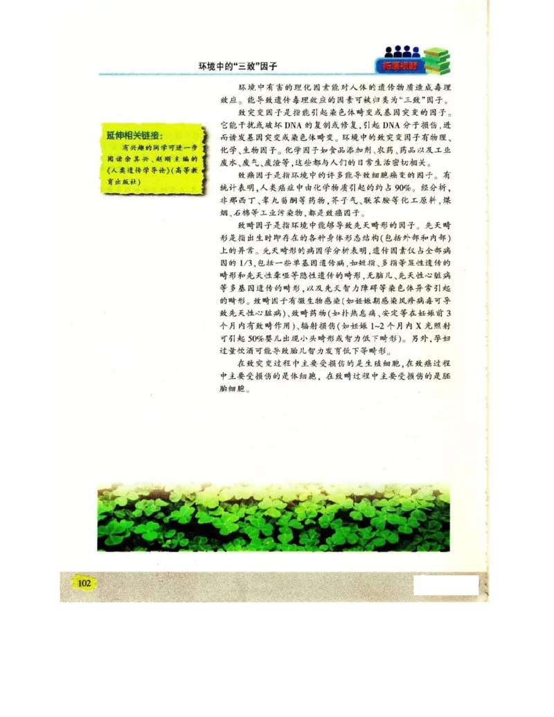 苏教版高中生物必修2《遗传与进化》电子课本_4-教培资料-26年最新资料-同步更新_初中高中教资_03科三专项（进去保存报考的学科即可）_112025高中科目（全）电子教材