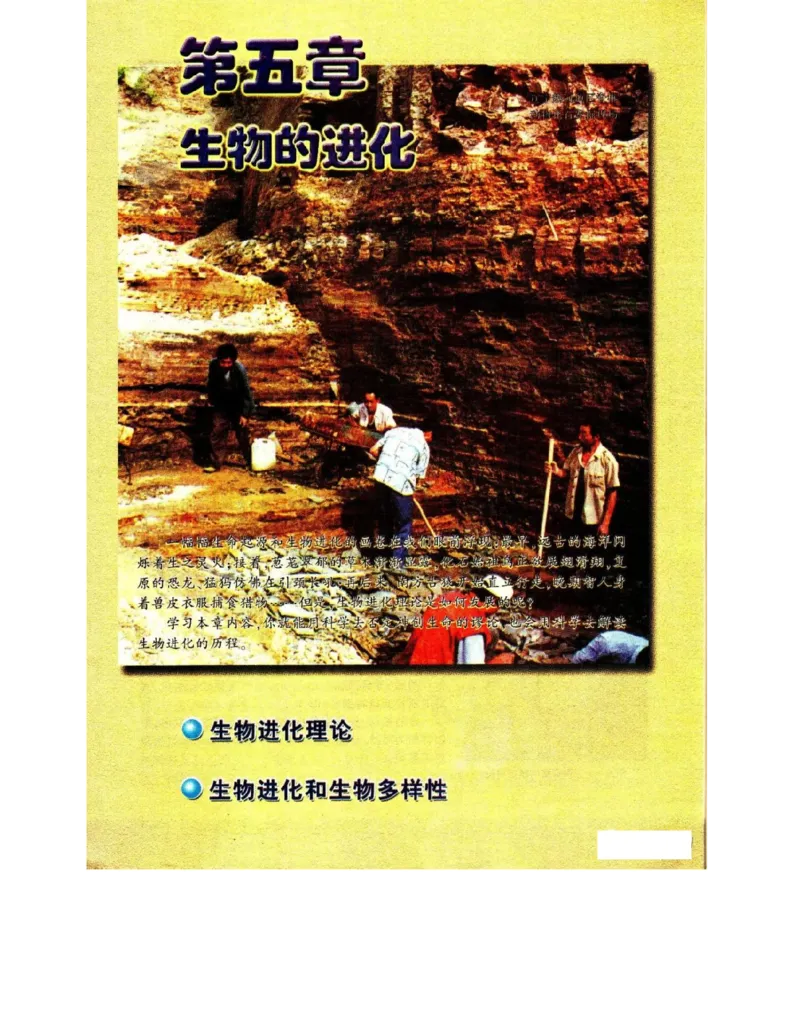 苏教版高中生物必修2《遗传与进化》电子课本_4-教培资料-26年最新资料-同步更新_初中高中教资_03科三专项（进去保存报考的学科即可）_112025高中科目（全）电子教材