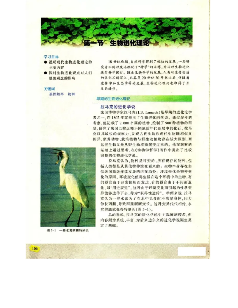 苏教版高中生物必修2《遗传与进化》电子课本_4-教培资料-26年最新资料-同步更新_初中高中教资_03科三专项（进去保存报考的学科即可）_112025高中科目（全）电子教材