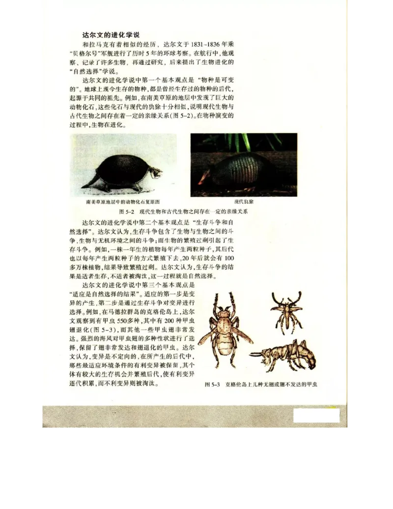 苏教版高中生物必修2《遗传与进化》电子课本_4-教培资料-26年最新资料-同步更新_初中高中教资_03科三专项（进去保存报考的学科即可）_112025高中科目（全）电子教材