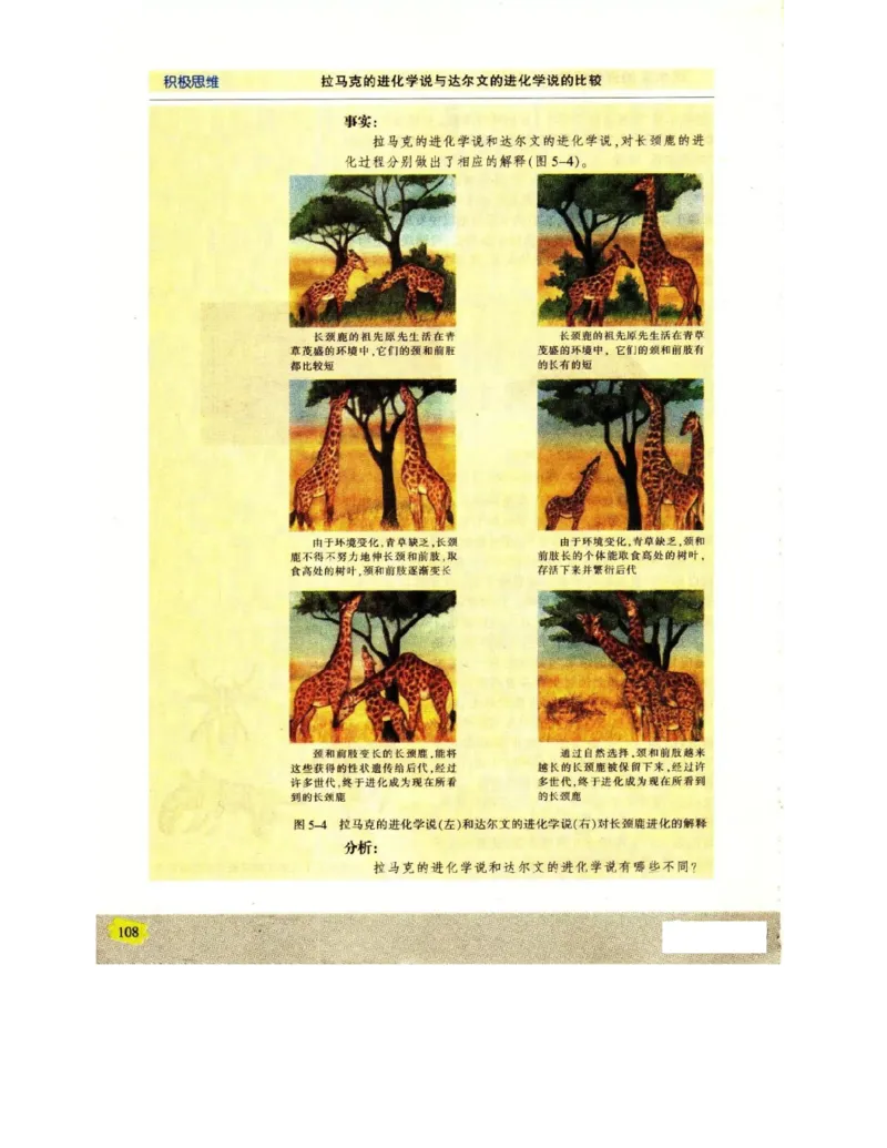 苏教版高中生物必修2《遗传与进化》电子课本_4-教培资料-26年最新资料-同步更新_初中高中教资_03科三专项（进去保存报考的学科即可）_112025高中科目（全）电子教材