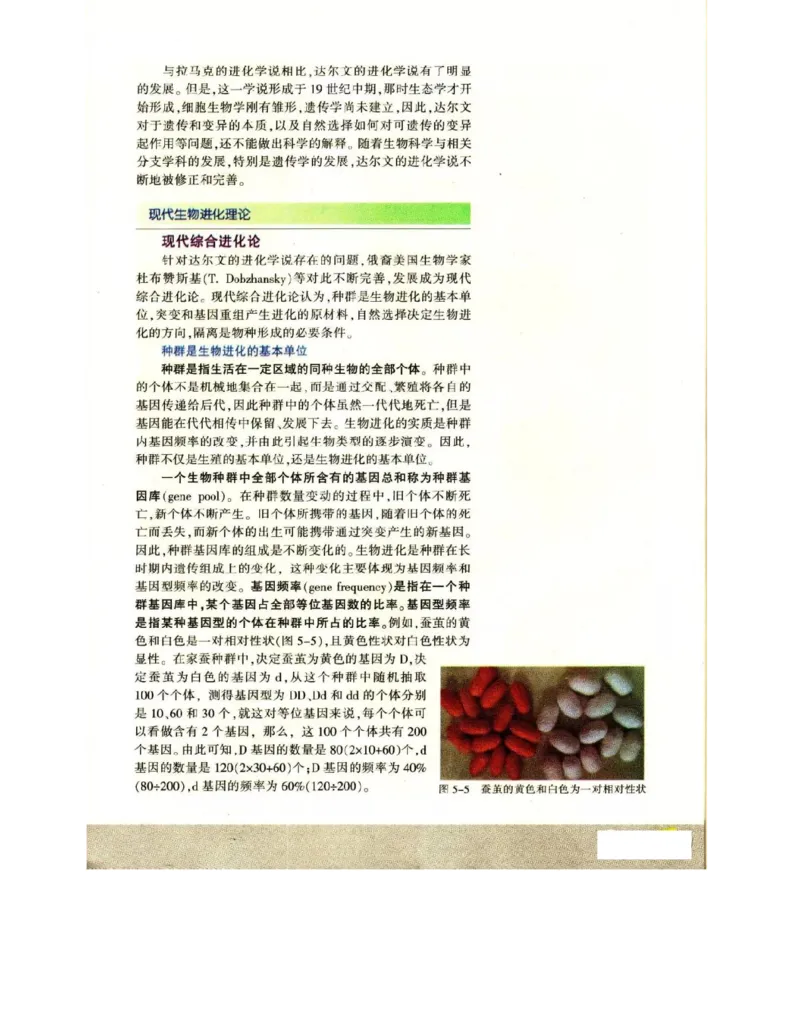 苏教版高中生物必修2《遗传与进化》电子课本_4-教培资料-26年最新资料-同步更新_初中高中教资_03科三专项（进去保存报考的学科即可）_112025高中科目（全）电子教材