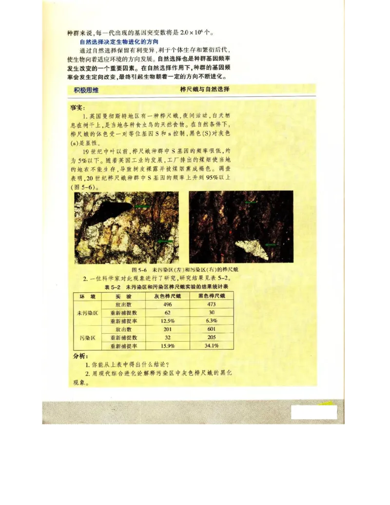 苏教版高中生物必修2《遗传与进化》电子课本_4-教培资料-26年最新资料-同步更新_初中高中教资_03科三专项（进去保存报考的学科即可）_112025高中科目（全）电子教材