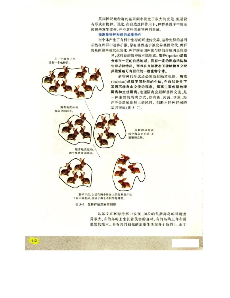 苏教版高中生物必修2《遗传与进化》电子课本_4-教培资料-26年最新资料-同步更新_初中高中教资_03科三专项（进去保存报考的学科即可）_112025高中科目（全）电子教材