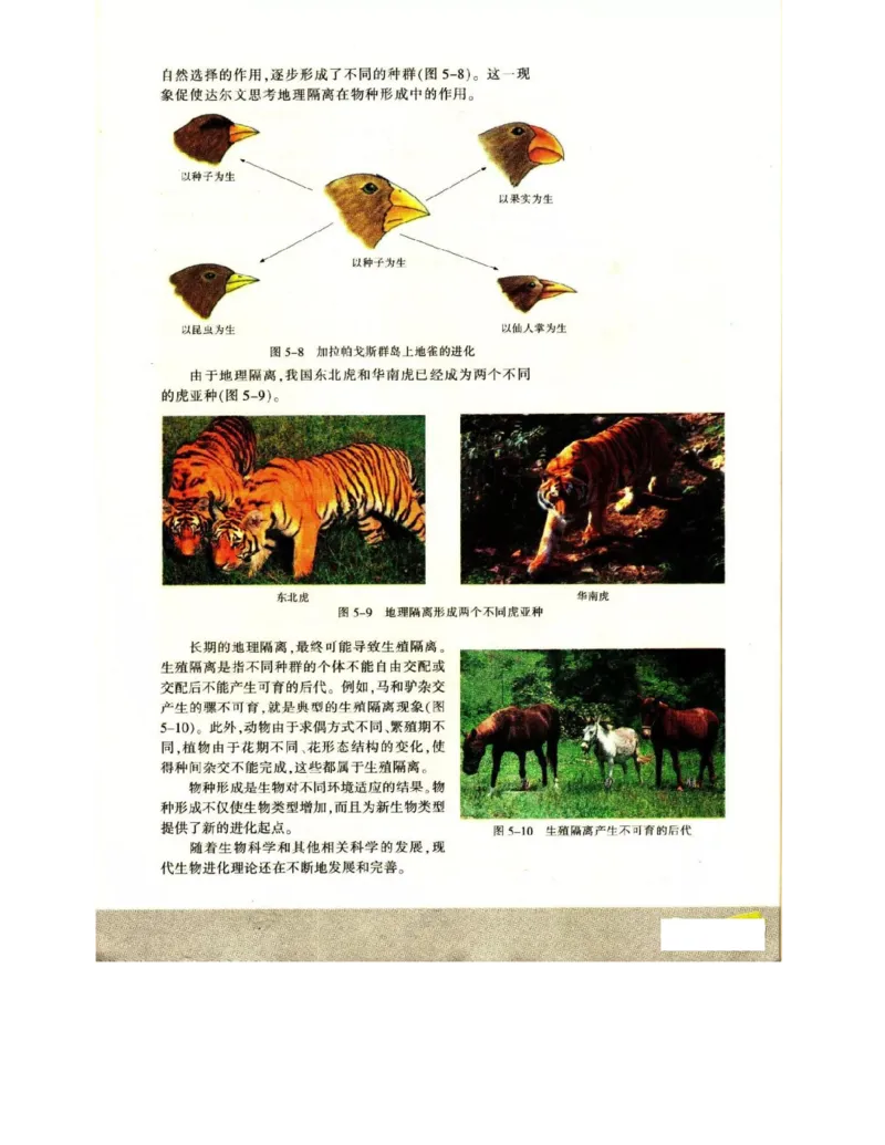 苏教版高中生物必修2《遗传与进化》电子课本_4-教培资料-26年最新资料-同步更新_初中高中教资_03科三专项（进去保存报考的学科即可）_112025高中科目（全）电子教材