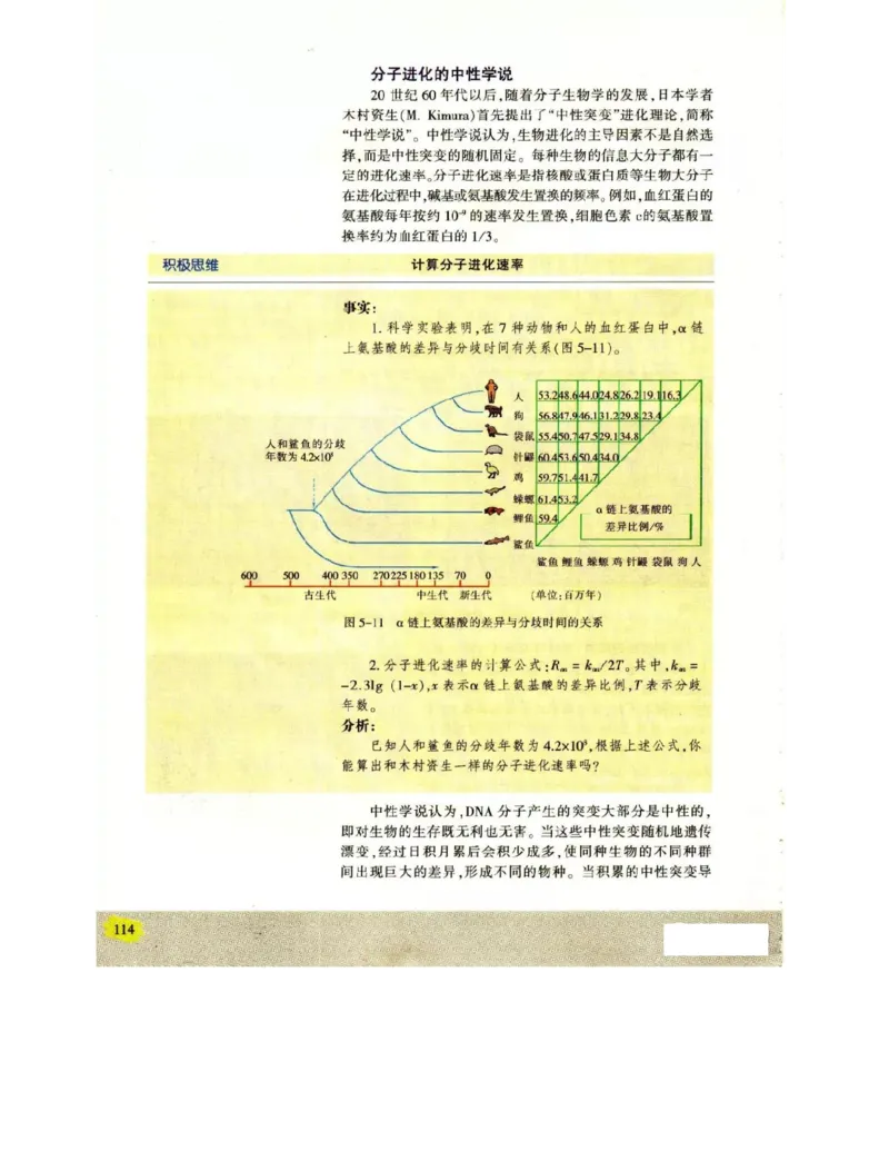 苏教版高中生物必修2《遗传与进化》电子课本_4-教培资料-26年最新资料-同步更新_初中高中教资_03科三专项（进去保存报考的学科即可）_112025高中科目（全）电子教材