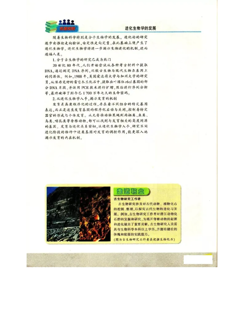 苏教版高中生物必修2《遗传与进化》电子课本_4-教培资料-26年最新资料-同步更新_初中高中教资_03科三专项（进去保存报考的学科即可）_112025高中科目（全）电子教材