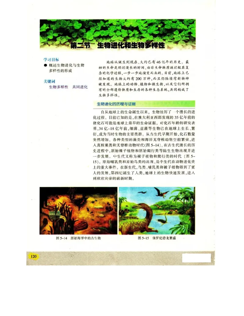 苏教版高中生物必修2《遗传与进化》电子课本_4-教培资料-26年最新资料-同步更新_初中高中教资_03科三专项（进去保存报考的学科即可）_112025高中科目（全）电子教材
