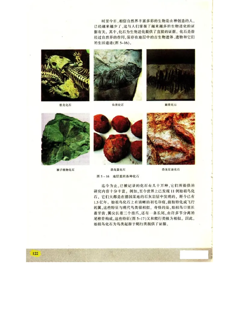 苏教版高中生物必修2《遗传与进化》电子课本_4-教培资料-26年最新资料-同步更新_初中高中教资_03科三专项（进去保存报考的学科即可）_112025高中科目（全）电子教材