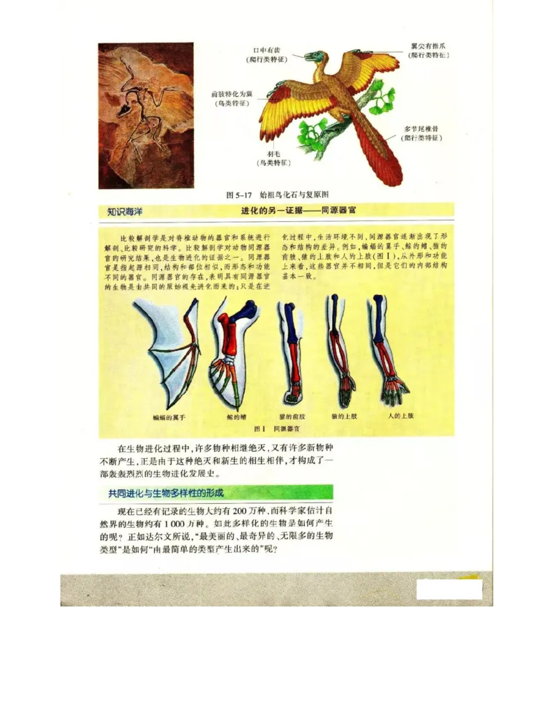 苏教版高中生物必修2《遗传与进化》电子课本_4-教培资料-26年最新资料-同步更新_初中高中教资_03科三专项（进去保存报考的学科即可）_112025高中科目（全）电子教材