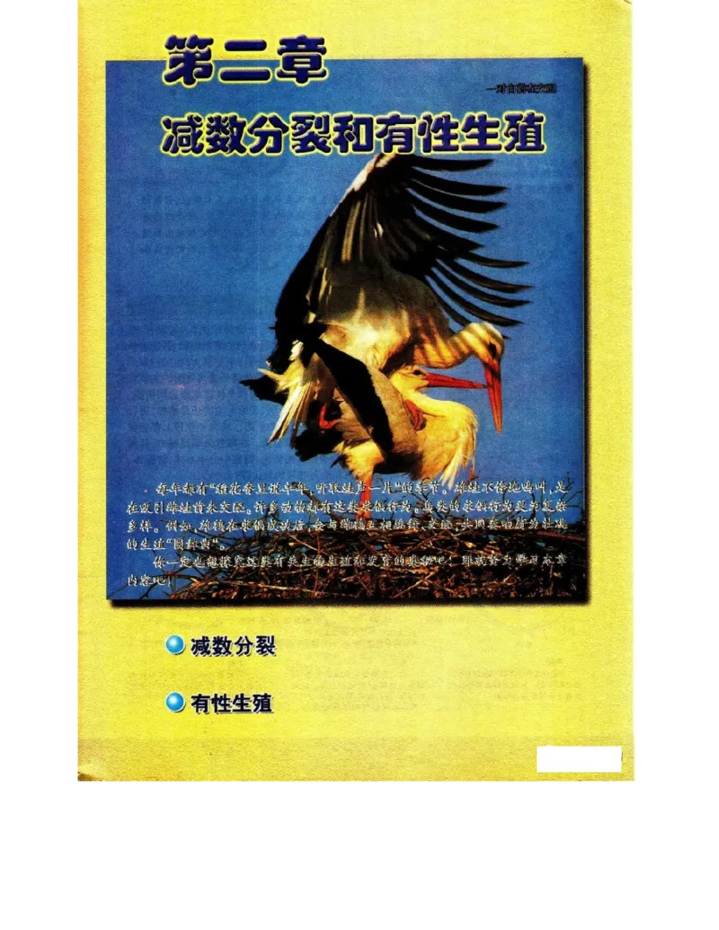 苏教版高中生物必修2《遗传与进化》电子课本_4-教培资料-26年最新资料-同步更新_初中高中教资_03科三专项（进去保存报考的学科即可）_112025高中科目（全）电子教材