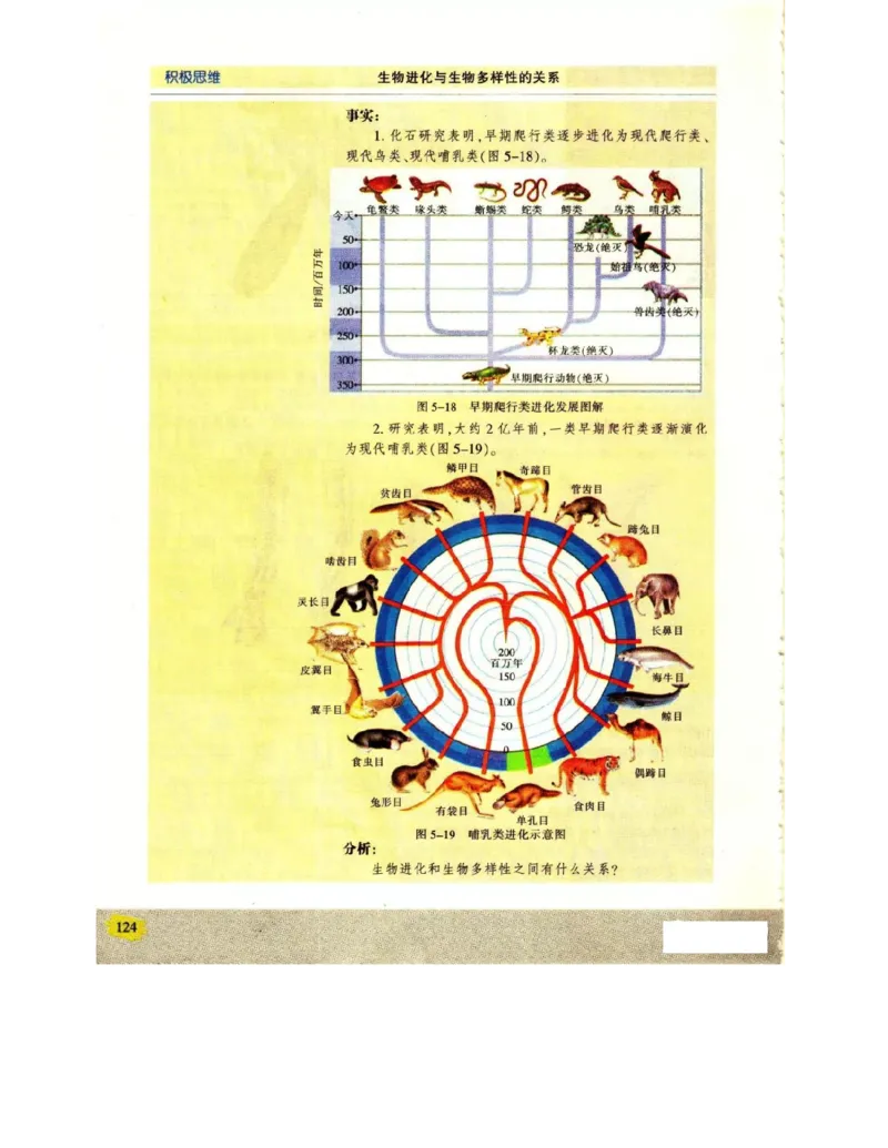 苏教版高中生物必修2《遗传与进化》电子课本_4-教培资料-26年最新资料-同步更新_初中高中教资_03科三专项（进去保存报考的学科即可）_112025高中科目（全）电子教材