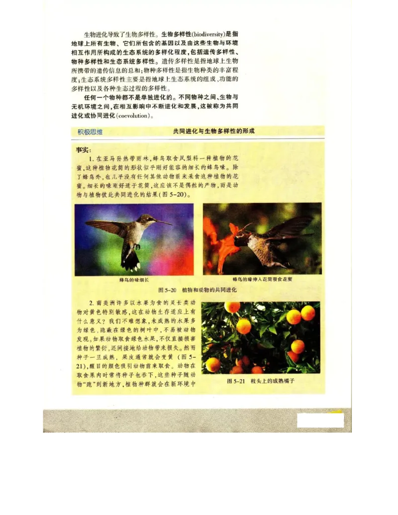 苏教版高中生物必修2《遗传与进化》电子课本_4-教培资料-26年最新资料-同步更新_初中高中教资_03科三专项（进去保存报考的学科即可）_112025高中科目（全）电子教材