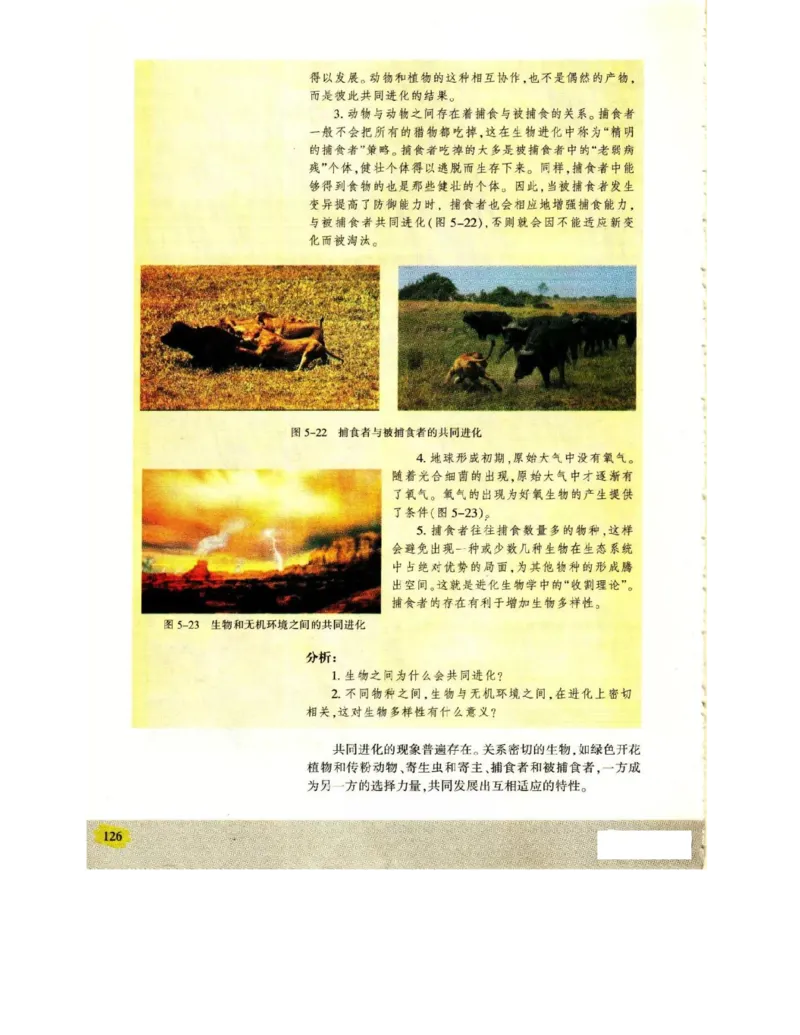 苏教版高中生物必修2《遗传与进化》电子课本_4-教培资料-26年最新资料-同步更新_初中高中教资_03科三专项（进去保存报考的学科即可）_112025高中科目（全）电子教材