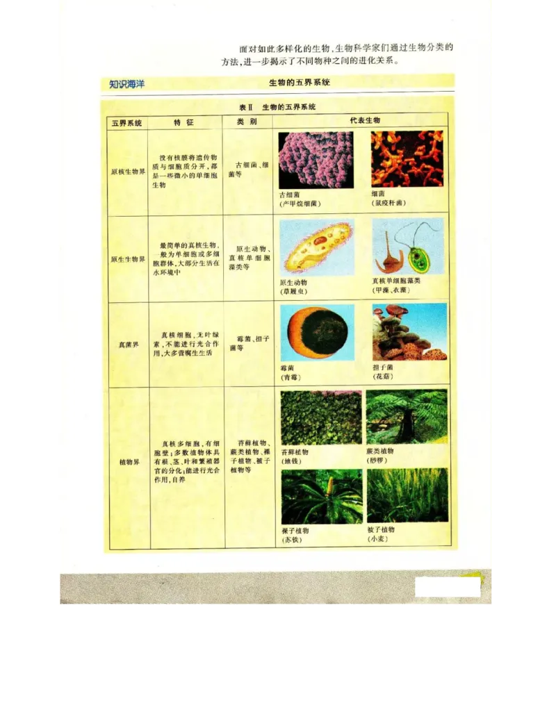 苏教版高中生物必修2《遗传与进化》电子课本_4-教培资料-26年最新资料-同步更新_初中高中教资_03科三专项（进去保存报考的学科即可）_112025高中科目（全）电子教材