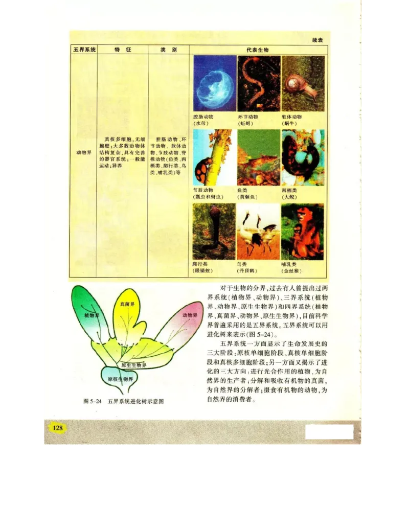 苏教版高中生物必修2《遗传与进化》电子课本_4-教培资料-26年最新资料-同步更新_初中高中教资_03科三专项（进去保存报考的学科即可）_112025高中科目（全）电子教材