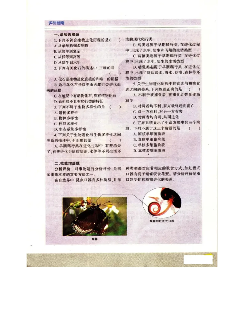 苏教版高中生物必修2《遗传与进化》电子课本_4-教培资料-26年最新资料-同步更新_初中高中教资_03科三专项（进去保存报考的学科即可）_112025高中科目（全）电子教材