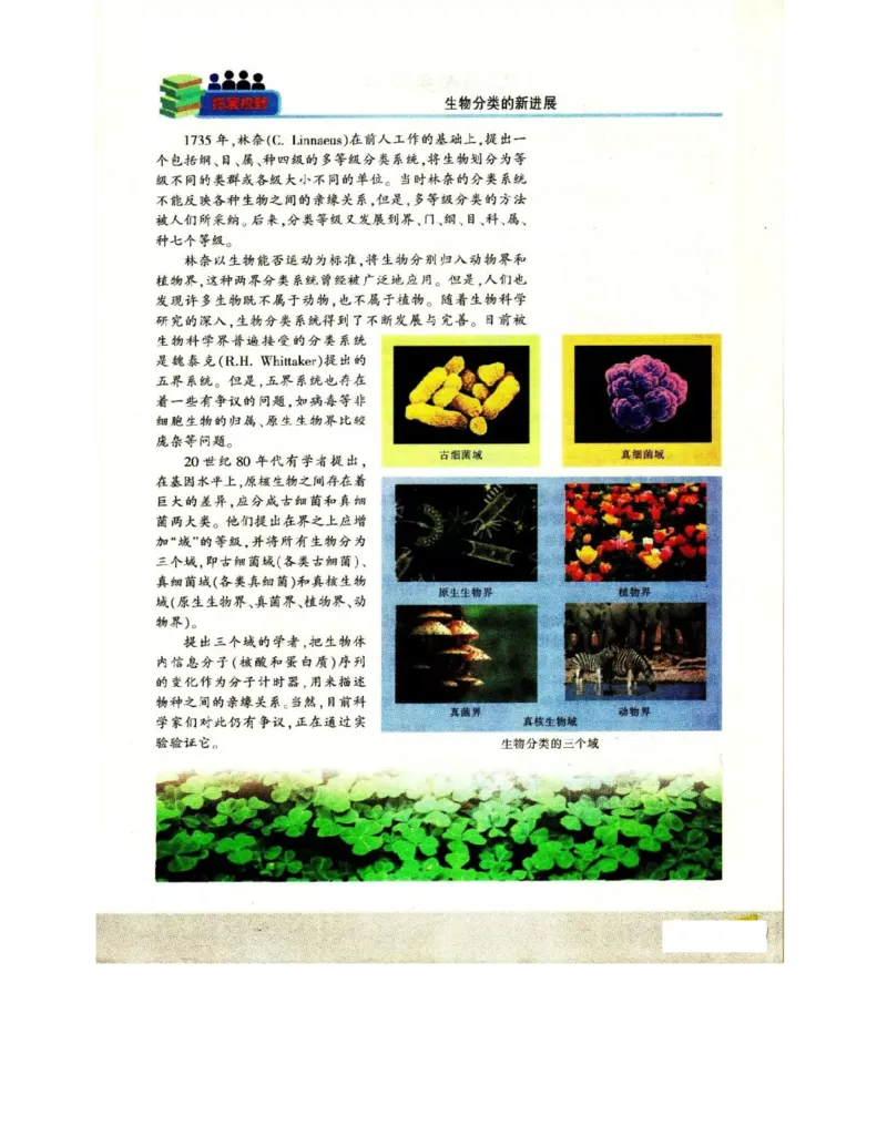 苏教版高中生物必修2《遗传与进化》电子课本_4-教培资料-26年最新资料-同步更新_初中高中教资_03科三专项（进去保存报考的学科即可）_112025高中科目（全）电子教材