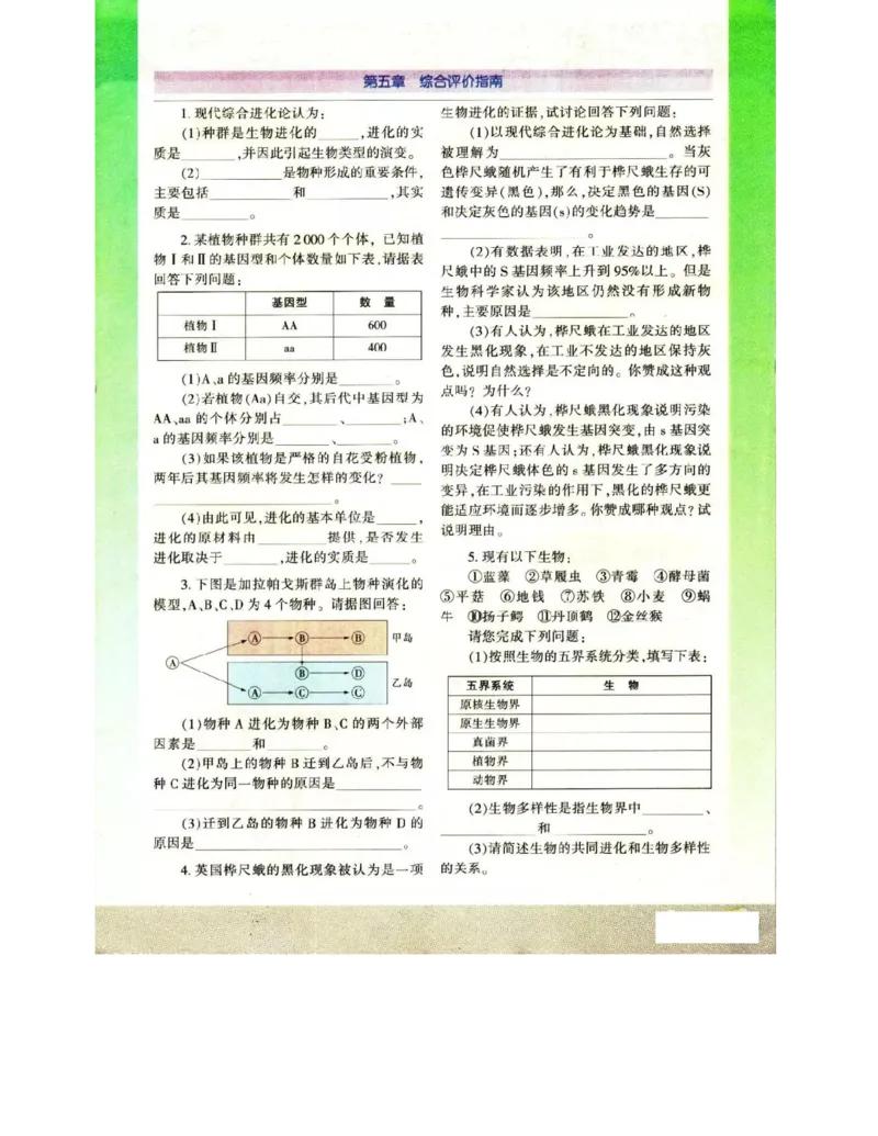 苏教版高中生物必修2《遗传与进化》电子课本_4-教培资料-26年最新资料-同步更新_初中高中教资_03科三专项（进去保存报考的学科即可）_112025高中科目（全）电子教材