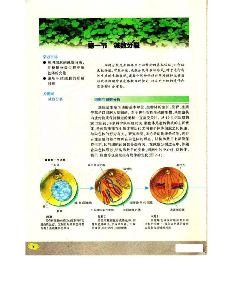 苏教版高中生物必修2《遗传与进化》电子课本_4-教培资料-26年最新资料-同步更新_初中高中教资_03科三专项（进去保存报考的学科即可）_112025高中科目（全）电子教材