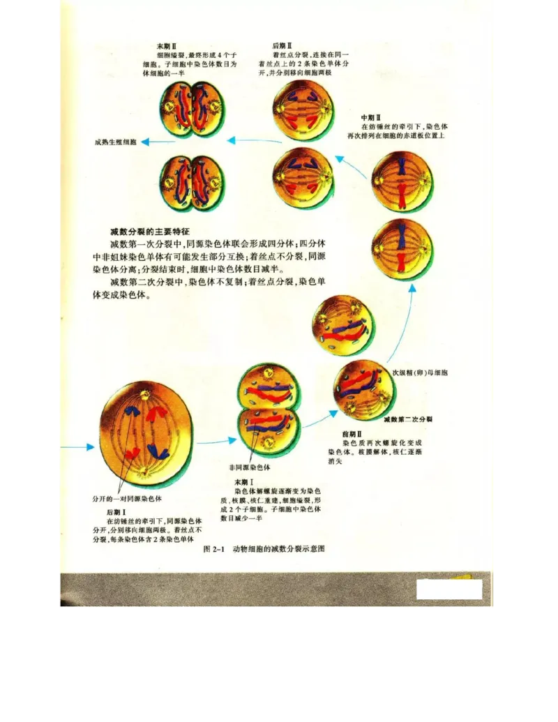 苏教版高中生物必修2《遗传与进化》电子课本_4-教培资料-26年最新资料-同步更新_初中高中教资_03科三专项（进去保存报考的学科即可）_112025高中科目（全）电子教材