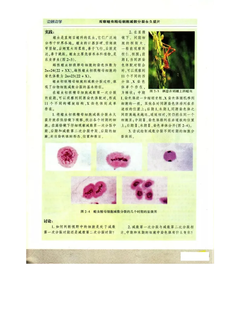 苏教版高中生物必修2《遗传与进化》电子课本_4-教培资料-26年最新资料-同步更新_初中高中教资_03科三专项（进去保存报考的学科即可）_112025高中科目（全）电子教材