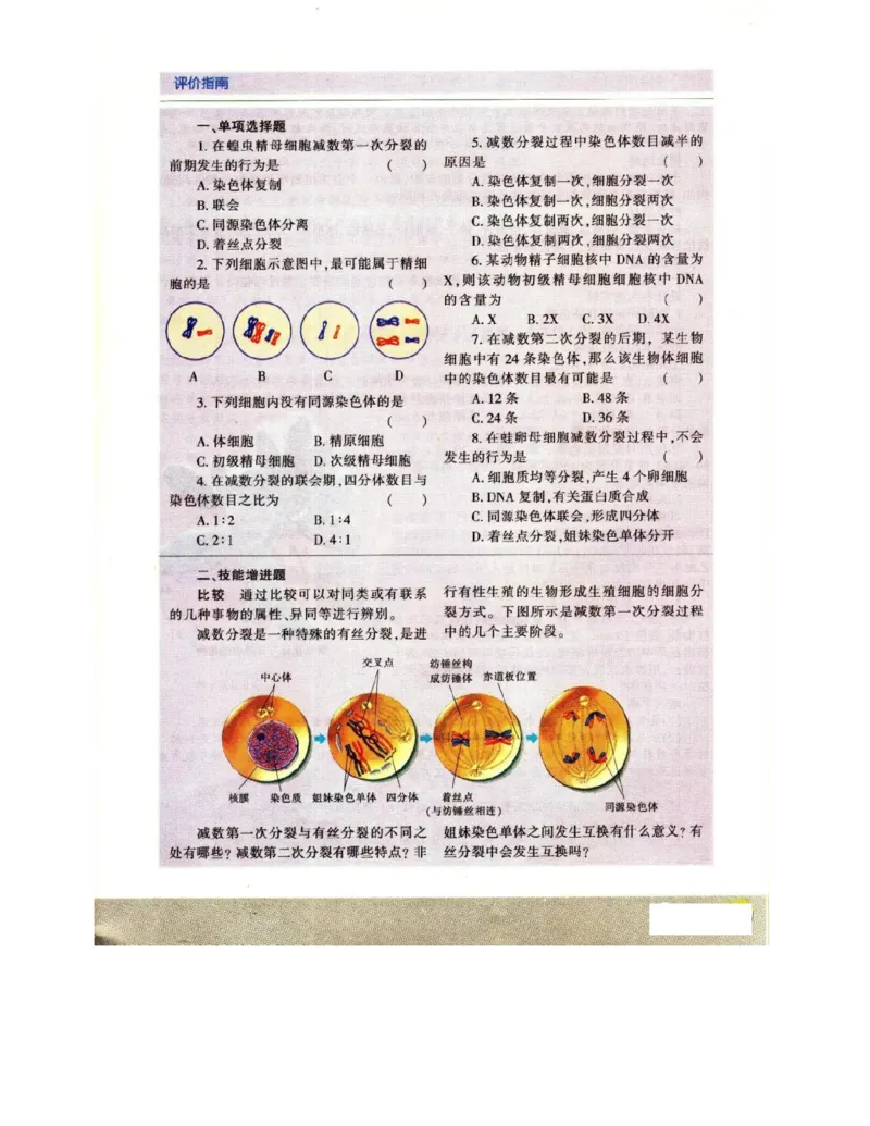 苏教版高中生物必修2《遗传与进化》电子课本_4-教培资料-26年最新资料-同步更新_初中高中教资_03科三专项（进去保存报考的学科即可）_112025高中科目（全）电子教材