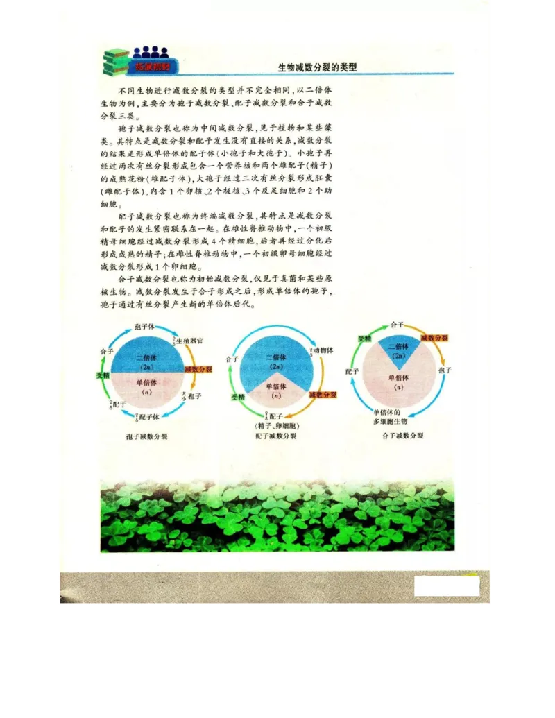 苏教版高中生物必修2《遗传与进化》电子课本_4-教培资料-26年最新资料-同步更新_初中高中教资_03科三专项（进去保存报考的学科即可）_112025高中科目（全）电子教材