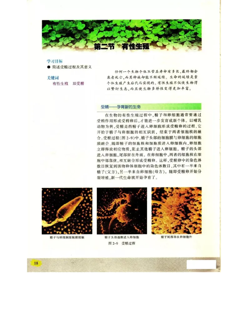 苏教版高中生物必修2《遗传与进化》电子课本_4-教培资料-26年最新资料-同步更新_初中高中教资_03科三专项（进去保存报考的学科即可）_112025高中科目（全）电子教材