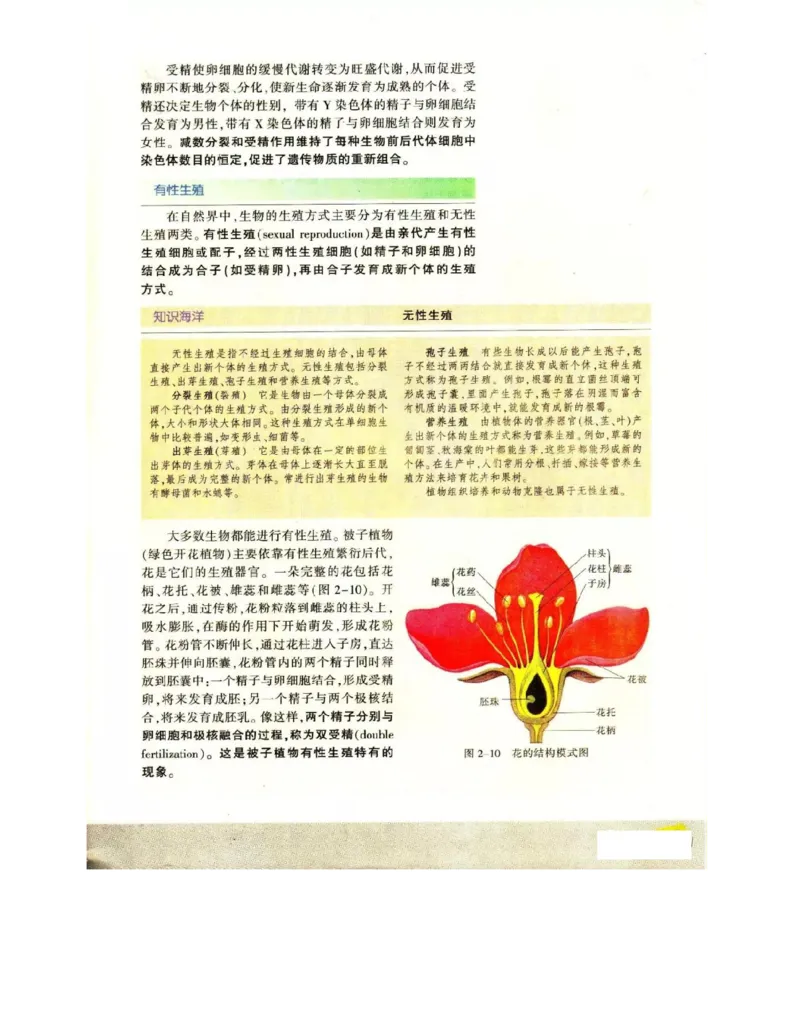 苏教版高中生物必修2《遗传与进化》电子课本_4-教培资料-26年最新资料-同步更新_初中高中教资_03科三专项（进去保存报考的学科即可）_112025高中科目（全）电子教材