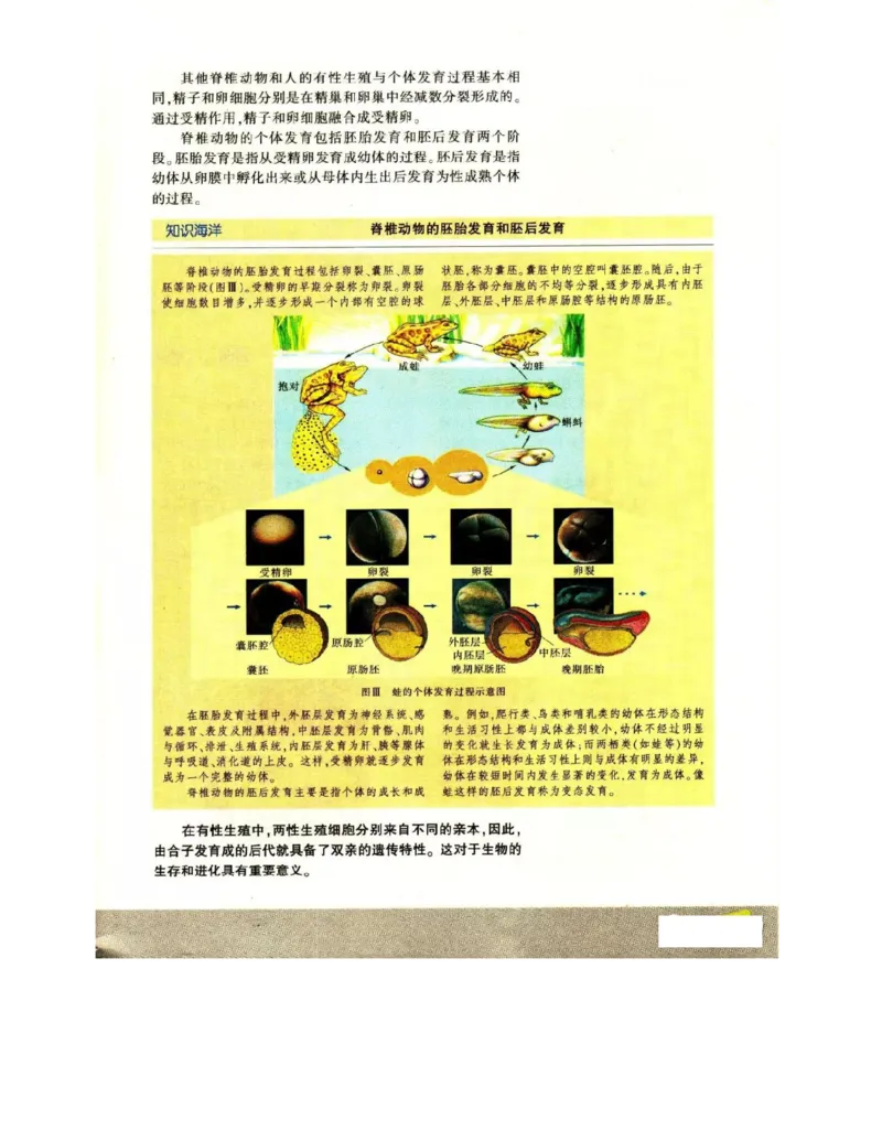 苏教版高中生物必修2《遗传与进化》电子课本_4-教培资料-26年最新资料-同步更新_初中高中教资_03科三专项（进去保存报考的学科即可）_112025高中科目（全）电子教材