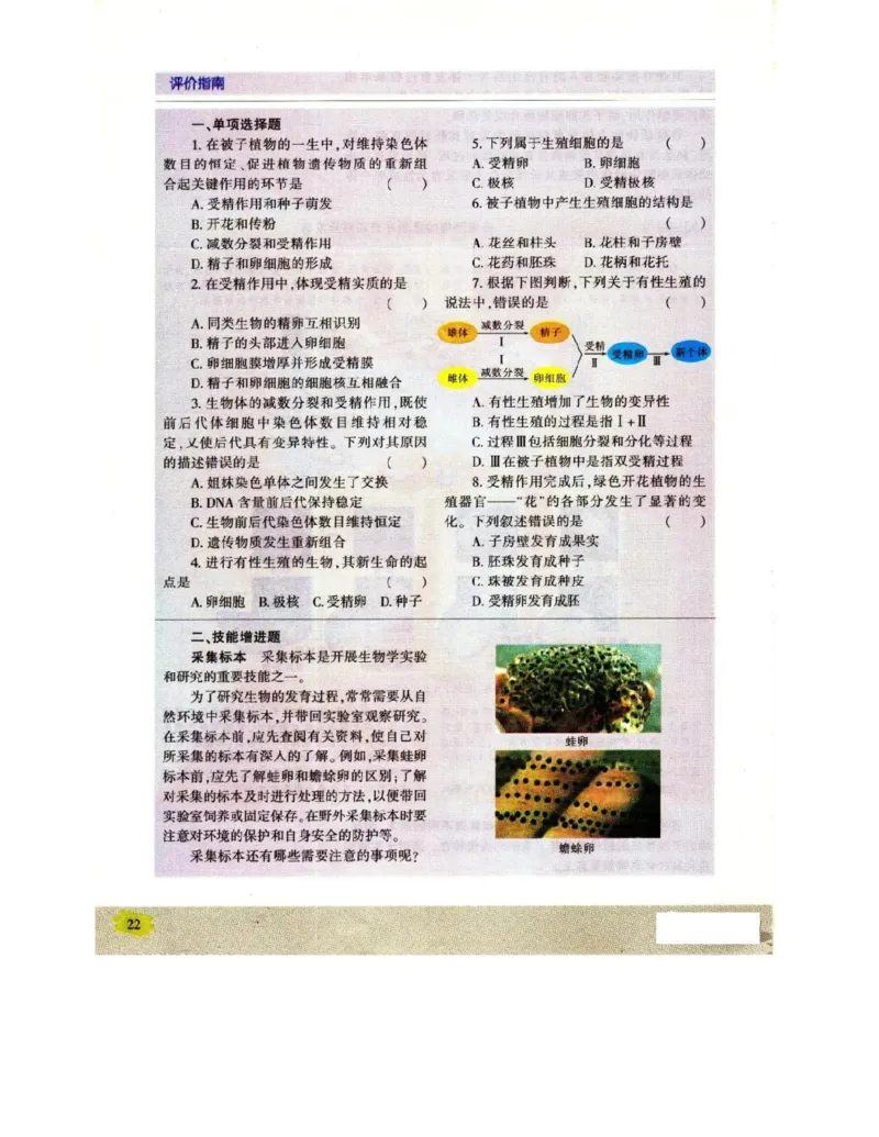苏教版高中生物必修2《遗传与进化》电子课本_4-教培资料-26年最新资料-同步更新_初中高中教资_03科三专项（进去保存报考的学科即可）_112025高中科目（全）电子教材