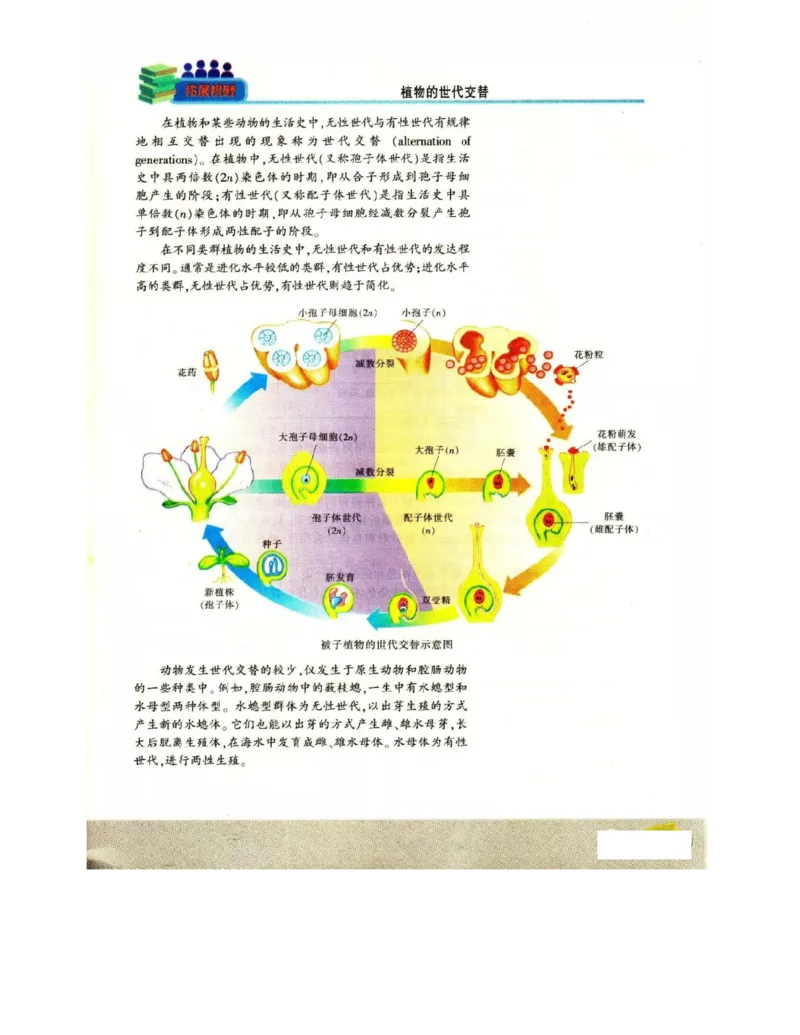 苏教版高中生物必修2《遗传与进化》电子课本_4-教培资料-26年最新资料-同步更新_初中高中教资_03科三专项（进去保存报考的学科即可）_112025高中科目（全）电子教材