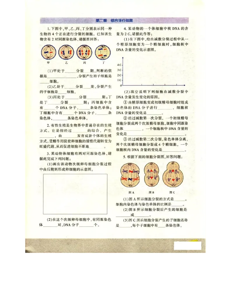 苏教版高中生物必修2《遗传与进化》电子课本_4-教培资料-26年最新资料-同步更新_初中高中教资_03科三专项（进去保存报考的学科即可）_112025高中科目（全）电子教材