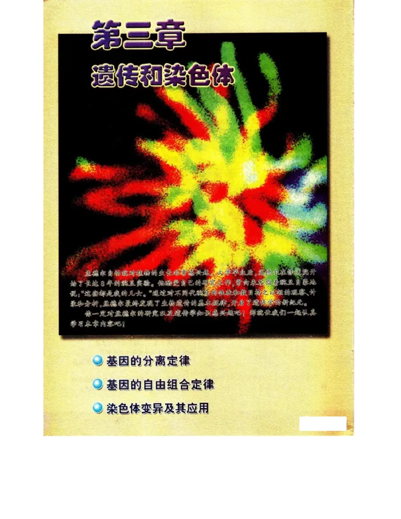 苏教版高中生物必修2《遗传与进化》电子课本_4-教培资料-26年最新资料-同步更新_初中高中教资_03科三专项（进去保存报考的学科即可）_112025高中科目（全）电子教材