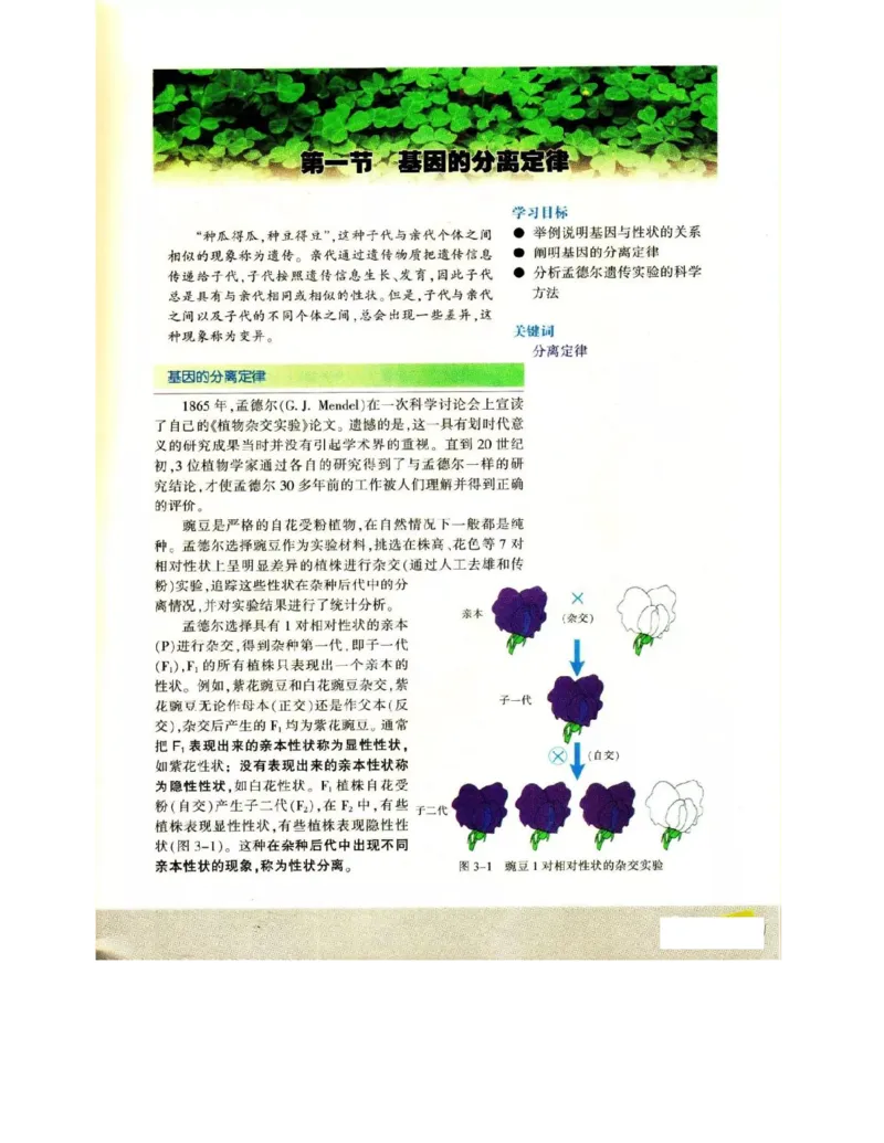 苏教版高中生物必修2《遗传与进化》电子课本_4-教培资料-26年最新资料-同步更新_初中高中教资_03科三专项（进去保存报考的学科即可）_112025高中科目（全）电子教材