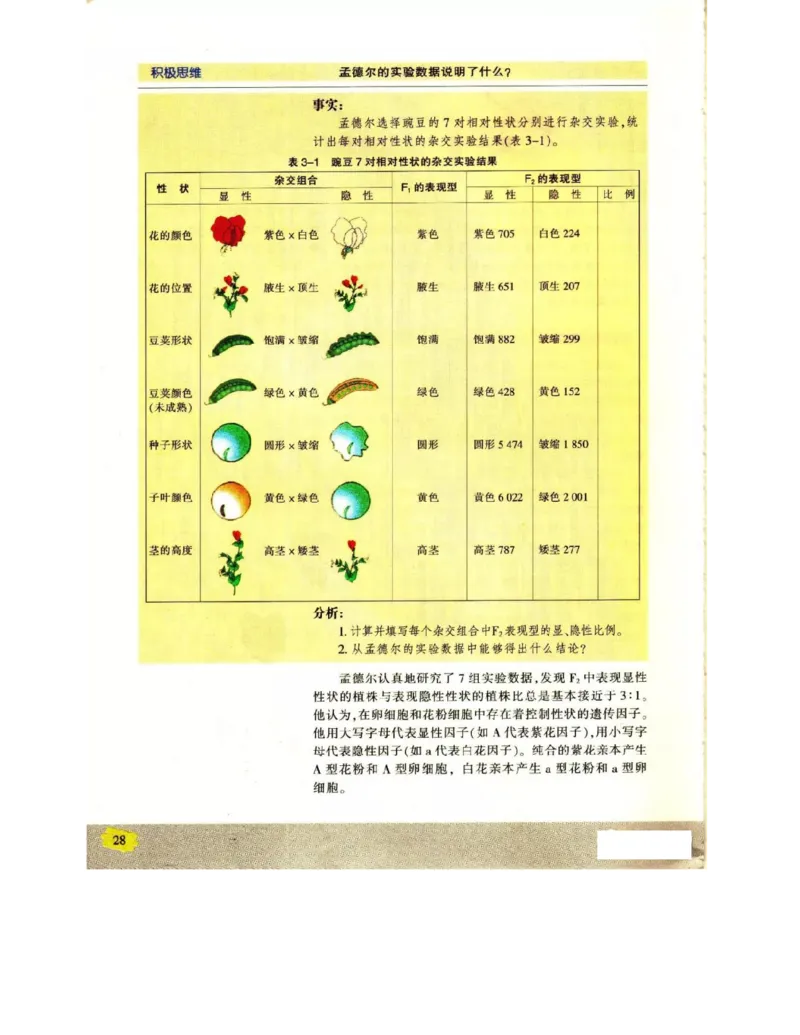 苏教版高中生物必修2《遗传与进化》电子课本_4-教培资料-26年最新资料-同步更新_初中高中教资_03科三专项（进去保存报考的学科即可）_112025高中科目（全）电子教材