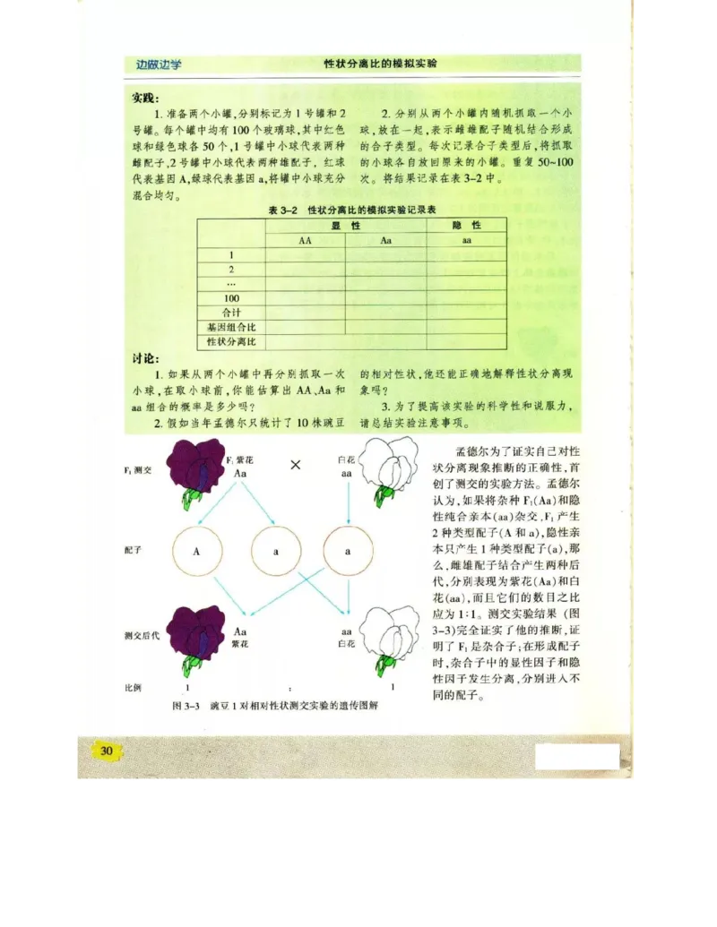 苏教版高中生物必修2《遗传与进化》电子课本_4-教培资料-26年最新资料-同步更新_初中高中教资_03科三专项（进去保存报考的学科即可）_112025高中科目（全）电子教材