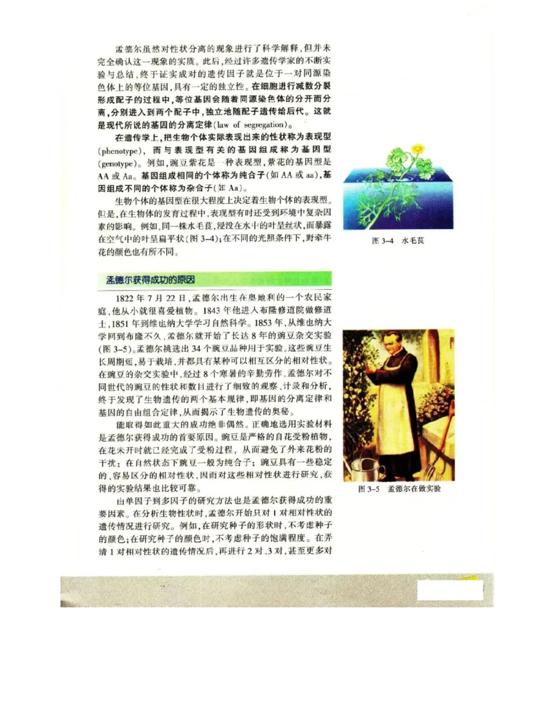 苏教版高中生物必修2《遗传与进化》电子课本_4-教培资料-26年最新资料-同步更新_初中高中教资_03科三专项（进去保存报考的学科即可）_112025高中科目（全）电子教材