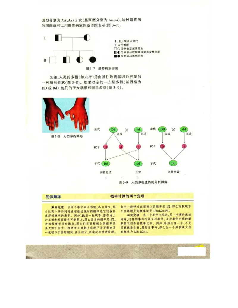 苏教版高中生物必修2《遗传与进化》电子课本_4-教培资料-26年最新资料-同步更新_初中高中教资_03科三专项（进去保存报考的学科即可）_112025高中科目（全）电子教材